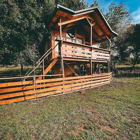 The Treehouse Of The Dragon Apartment Ioannina Bagian luar foto