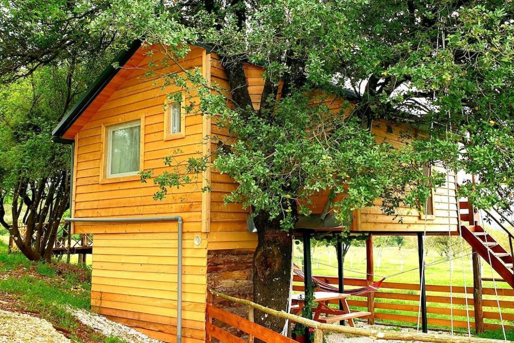 The Treehouse Of The Dragon Apartment Ioannina Bagian luar foto