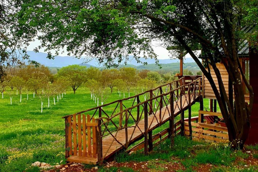 The Treehouse Of The Dragon Apartment Ioannina Bagian luar foto